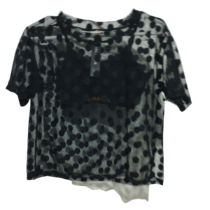 blusa transparente